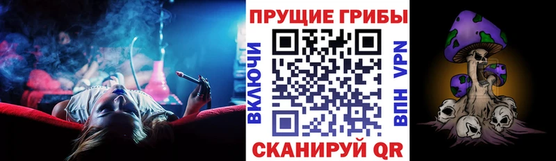 купить закладку  Злынка  Псилоцибиновые грибы MAGIC MUSHROOMS 
